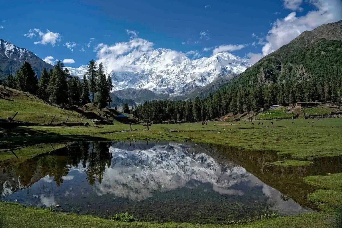Fairy Meadows